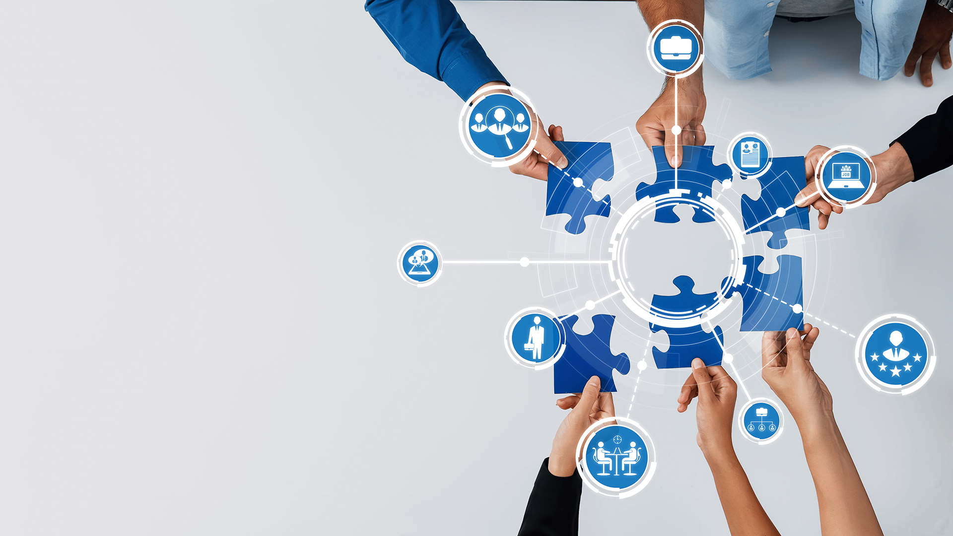 Image for Portfolio Sections & Programs